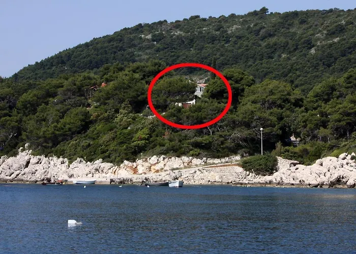 Apartment By The Sea Cove Saplunara, Mljet - 4925 *