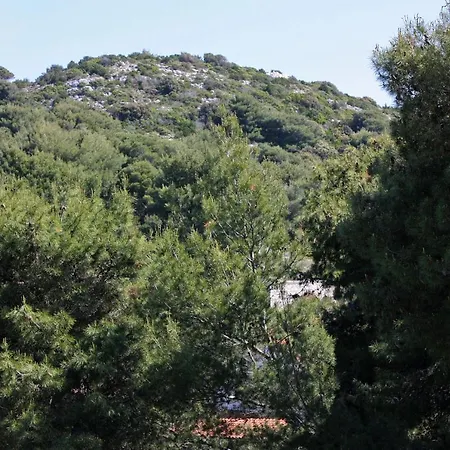 Apartmán By The Sea Cove Saplunara, Mljet - 4925 Saplunara