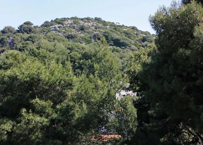 Apartmán By The Sea Cove Saplunara, Mljet - 4925 Saplunara